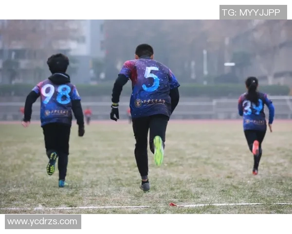 成都飞盘队团队协作引发热议争议背后的默契与挑战分析