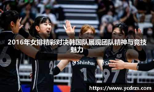 2016年女排精彩对决韩国队展现团队精神与竞技魅力